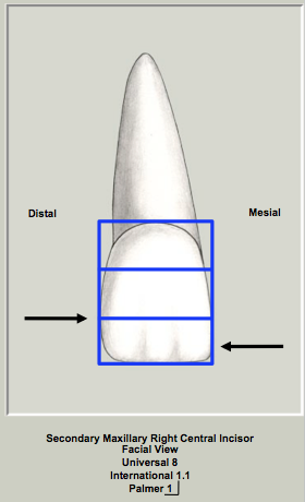 Mx Central Facial CofC.png